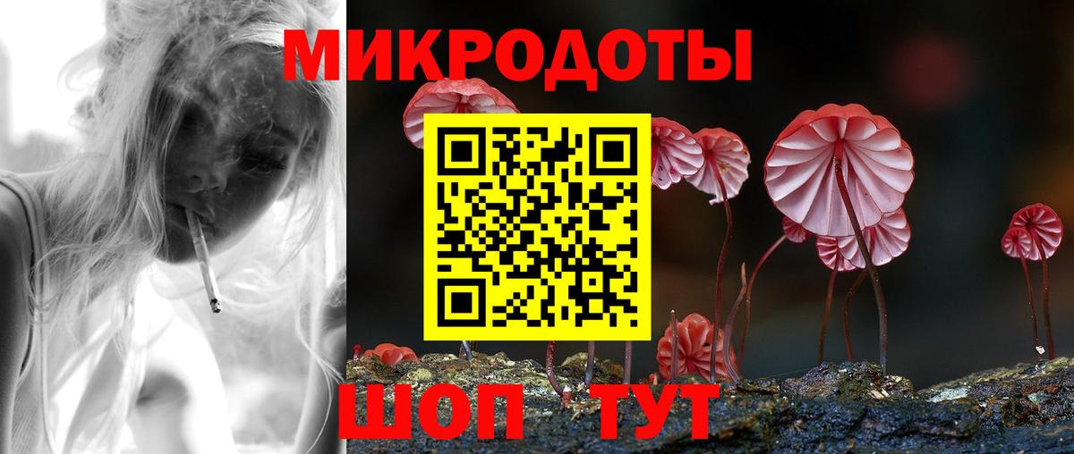 Галлюциногенные грибы Psilocybine cubensis Ростов-на-Дону